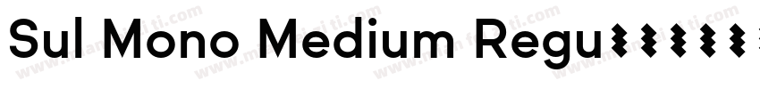 Sul Mono Medium Regu字体转换